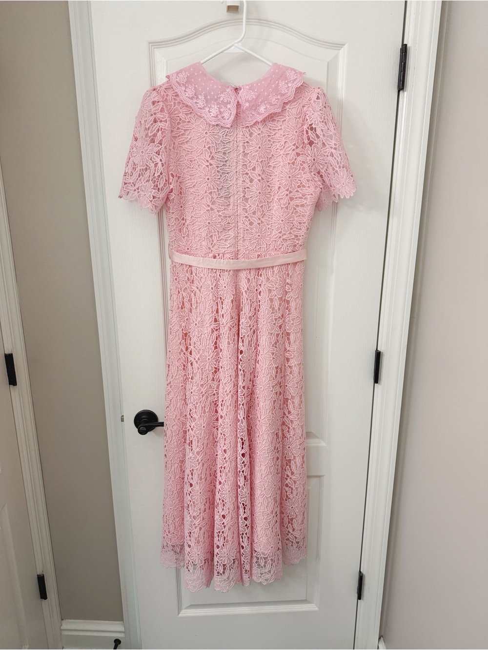 NWT Dalia Macphee lace pink dress - Picture 5 of 6